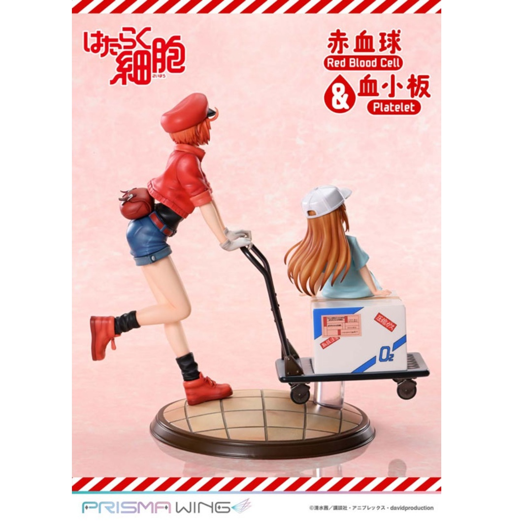 PRIME 1 STUDIO PRISMA WING 工作細胞 紅血球&血小板(完成品)輪播圖