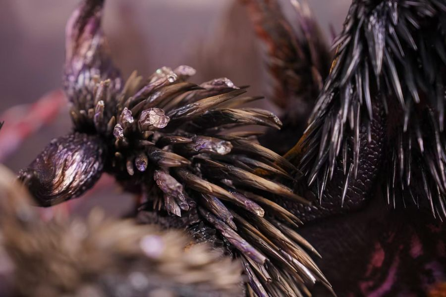 DragonFrontier龍之邊境 > 魔物獵人 > 奸世滅盡龍vs天地煌啼龍輪播圖